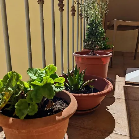 Couette-café A Casa Di Angela *