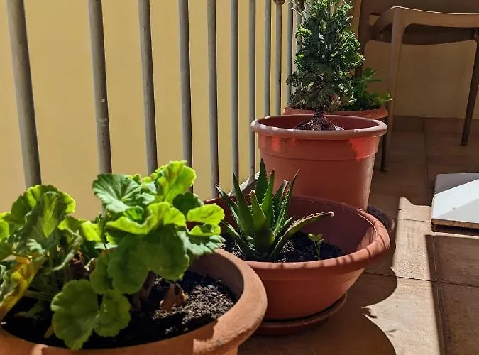 Bed and Breakfast A Casa Di Angela *